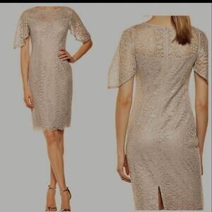 Adrianna Papell Cocktail MOB Dress Lace in Icy Lilac Size 16 NWT